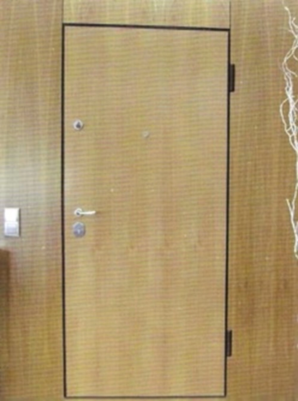 Puertas de Seguridad